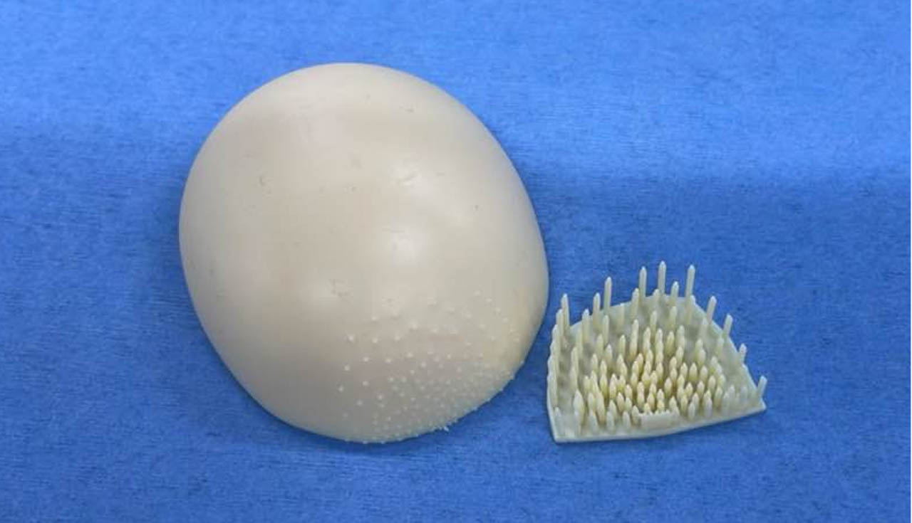 fig.jpg