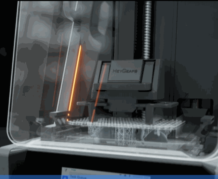 image5.gif
